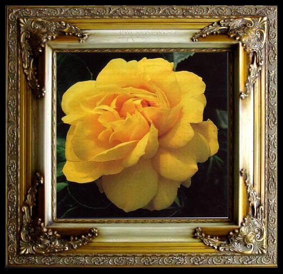framed  unknow artist Still life floral, all kinds of reality flowers oil painting  236, Ta051